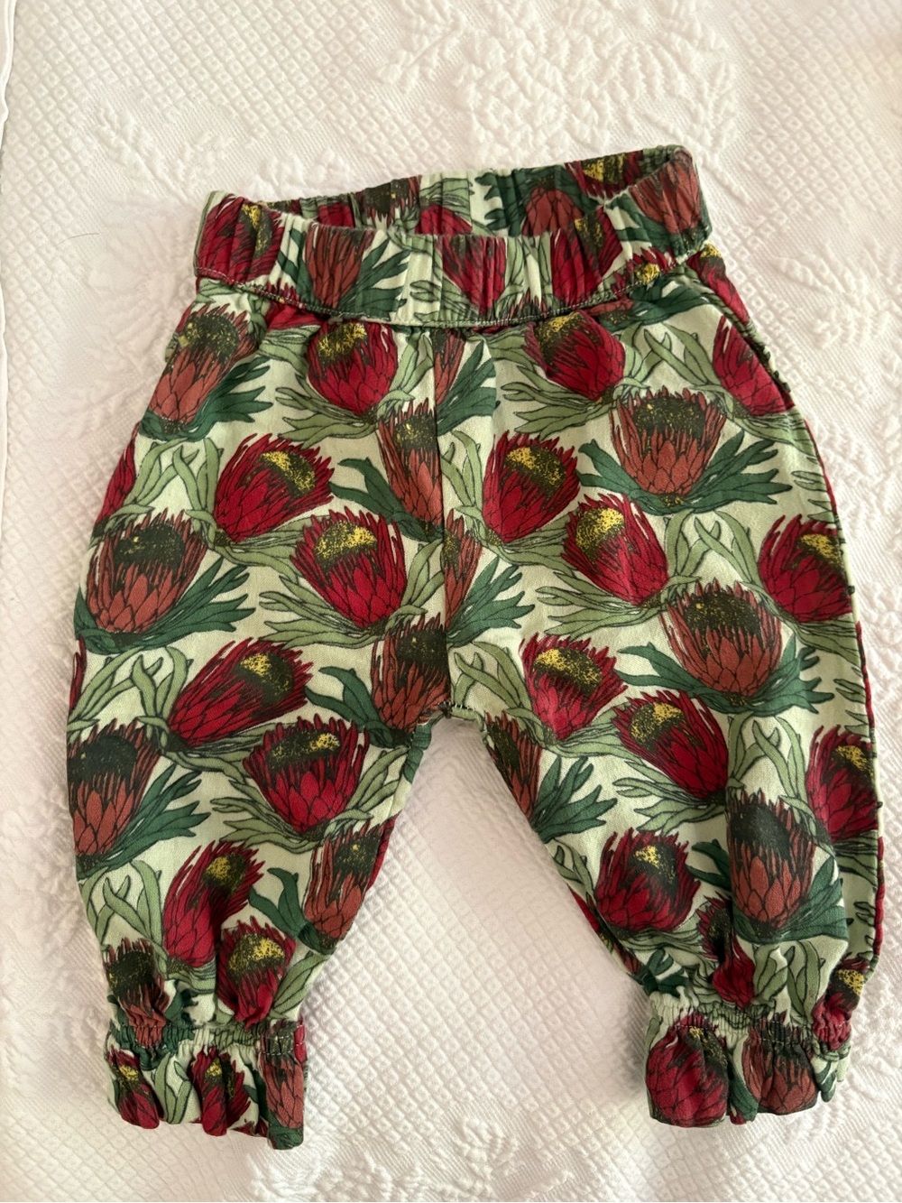 kate quinn Red Floral Jogger Pants on Green